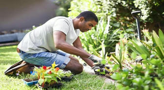 Gardeners: Guardians of Urban Oases